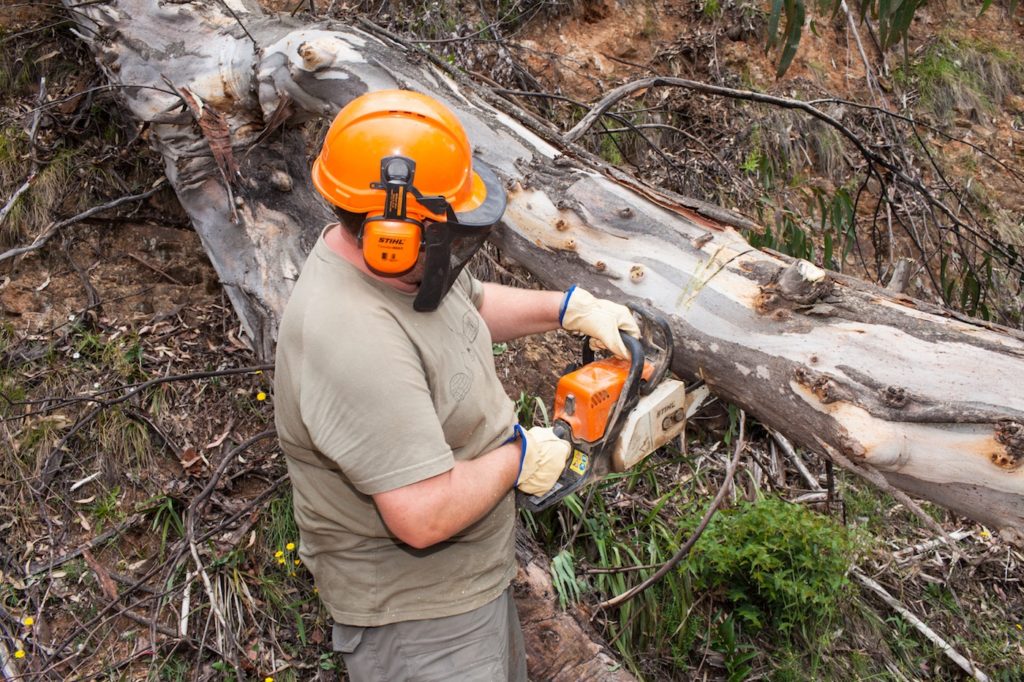 Track Clearing | Last Xplorer